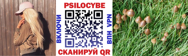 Купить  Шадринск  Галлюциногенные грибы MAGIC MUSHROOMS