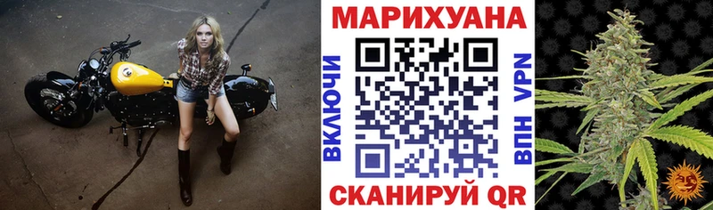 Купить закладки  Шадринск  Канабис планчик 